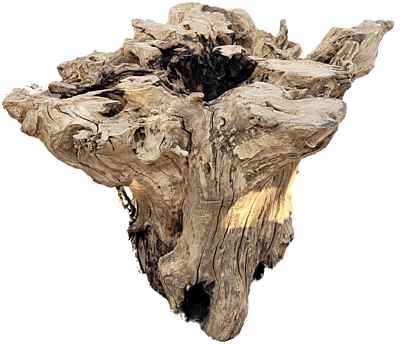 Farai - root dining table