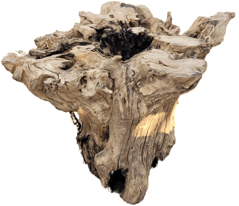 Farai - root dining table