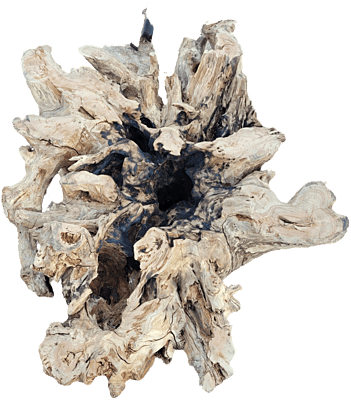 Farai - root dining table