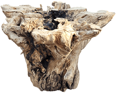 Farai - root dining table
