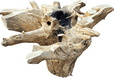 Eshe - root table