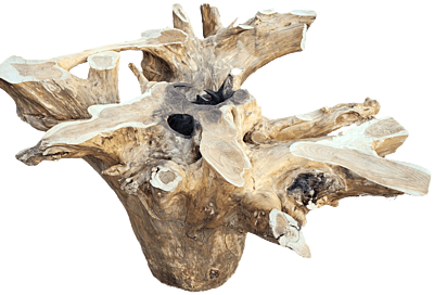Eshe - root table Eshe - root table