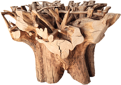 Dalia - root table