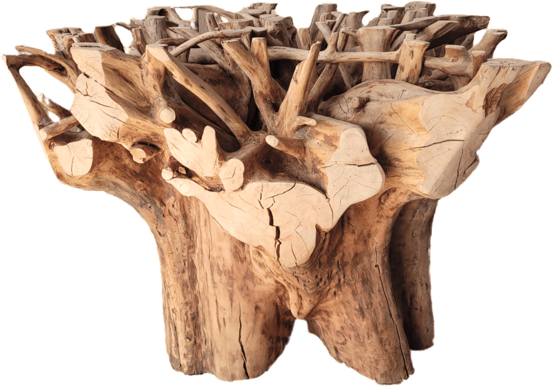 Dalia - root table Dalia - root table