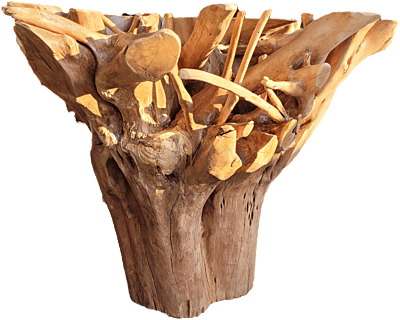 Dalia - root table Dalia - root table
