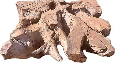 Vuyo - Roots coffee table