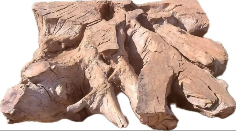 Vuyo - Roots coffee table
