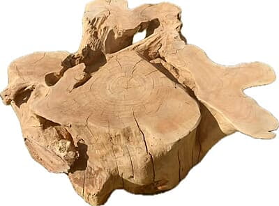 Xoli - Roots coffee table