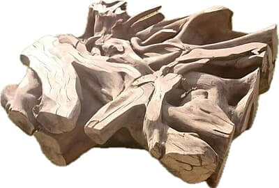 Zanele - Roots coffee table