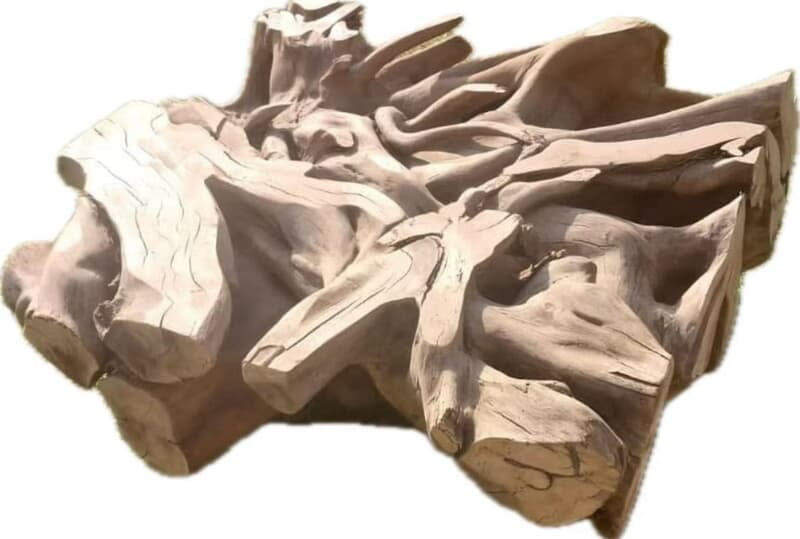 Zanele - Roots coffee table