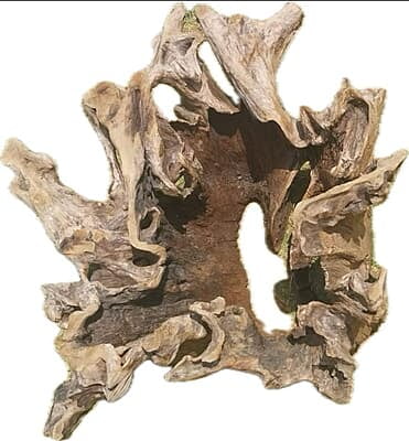 Yande - Roots coffee table
