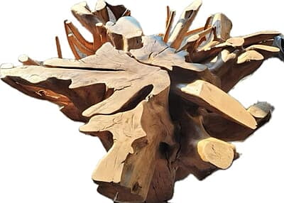 Buhle - Roots dining table